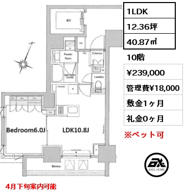 1LDK 40.87㎡ 10階 賃料¥239,000 管理費¥18,000 敷金1ヶ月 礼金0ヶ月