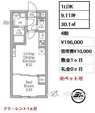 1LDK 30.1㎡  賃料¥196,000 管理費¥10,000 敷金1ヶ月 礼金0ヶ月 フリーレント1ヵ月