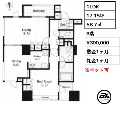 1LDK 56.7㎡ 8階 賃料¥300,000 敷金1ヶ月 礼金1ヶ月