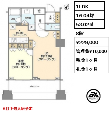 1LDK 53.02㎡ 8階 賃料¥229,000 管理費¥10,000 敷金1ヶ月 礼金1ヶ月 6月下旬入居予定