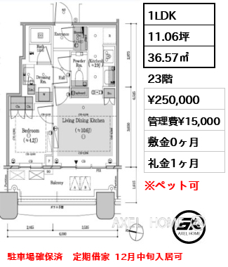 1LDK 36.57㎡  賃料¥250,000 管理費¥15,000 敷金0ヶ月 礼金1ヶ月 駐車場確保済　定期借家  12月中旬入居可