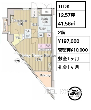 1LDK 41.56㎡  賃料¥197,000 管理費¥10,000 敷金1ヶ月 礼金1ヶ月