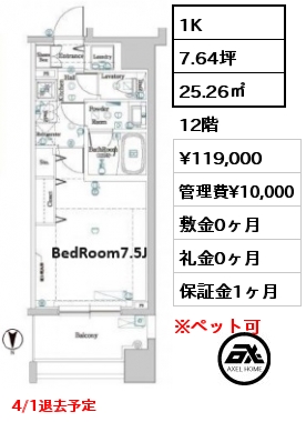 1K 25.26㎡ 12階 賃料¥119,000 管理費¥10,000 敷金0ヶ月 礼金0ヶ月 4/1退去予定