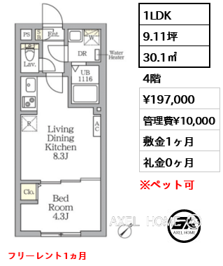 1LDK 30.1㎡  賃料¥197,000 管理費¥10,000 敷金1ヶ月 礼金0ヶ月 フリーレント1ヵ月