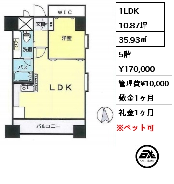 間取り2 1LDK 35.93㎡ 5階 賃料¥170,000 管理費¥10,000 敷金1ヶ月 礼金1ヶ月