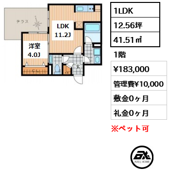 間取り2 1LDK 41.51㎡  賃料¥183,000 管理費¥10,000 敷金0ヶ月 礼金0ヶ月 　