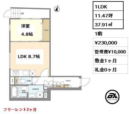 間取り2 1LDK 37.91㎡ 1階 賃料¥230,000 管理費¥10,000 敷金1ヶ月 礼金0ヶ月 フリーレント2ヶ月　　　　