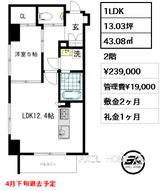 1LDK 43.08㎡  賃料¥239,000 管理費¥19,000 敷金2ヶ月 礼金1ヶ月 4月下旬退去予定