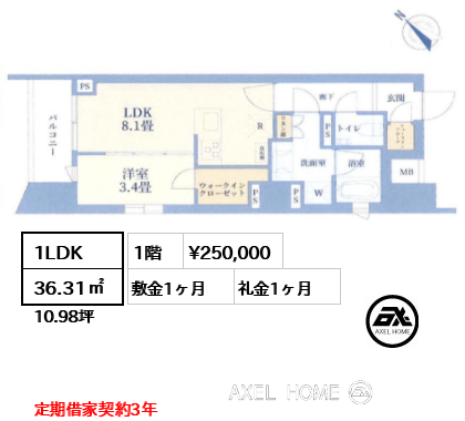 1LDK 36.31㎡  賃料¥250,000 敷金1ヶ月 礼金1ヶ月 定期借家契約3年