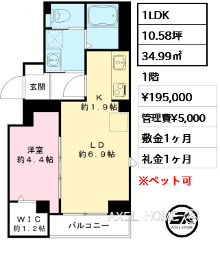 1LDK 34.99㎡  賃料¥195,000 管理費¥5,000 敷金1ヶ月 礼金1ヶ月 12月中旬入居予定