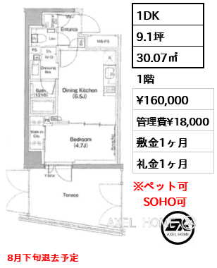 1DK 30.07㎡  賃料¥160,000 管理費¥18,000 敷金1ヶ月 礼金1ヶ月 8月下旬退去予定