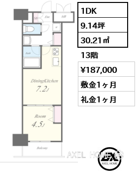 1DK 30.21㎡  賃料¥187,000 敷金1ヶ月 礼金1ヶ月
