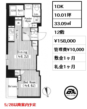 1DK 33.09㎡ 12階 賃料¥158,000 管理費¥10,000 敷金1ヶ月 礼金1ヶ月  5/28以降案内予定　6月下旬入居予定
