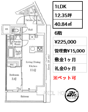 1LDK 40.84㎡  賃料¥225,000 管理費¥15,000 敷金1ヶ月 礼金0ヶ月