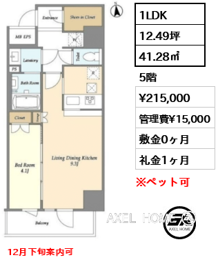 1LDK 41.28㎡  賃料¥215,000 管理費¥15,000 敷金0ヶ月 礼金1ヶ月 12月下旬案内可