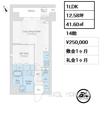1LDK 41.60㎡  賃料¥250,000 敷金1ヶ月 礼金1ヶ月