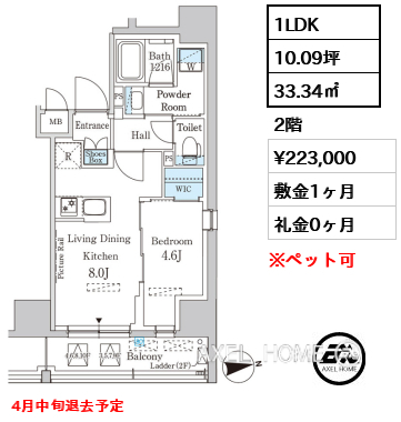 1LDK 33.34㎡  賃料¥223,000 敷金1ヶ月 礼金0ヶ月 4月中旬退去予定