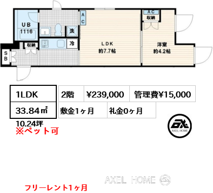 1LDK 33.84㎡  賃料¥239,000 管理費¥15,000 敷金1ヶ月 礼金0ヶ月 フリーレント1ヶ月