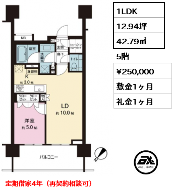 1LDK 42.79㎡ 5階 賃料¥250,000 敷金1ヶ月 礼金1ヶ月 定期借家4年（再契約相談可）
