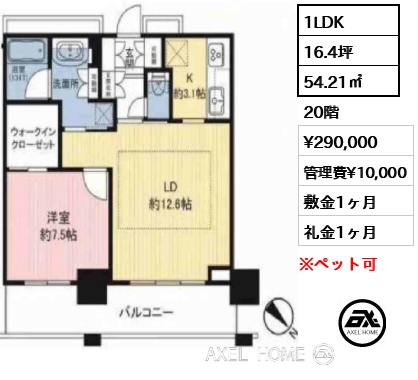 1LDK 54.21㎡  賃料¥290,000 管理費¥10,000 敷金1ヶ月 礼金1ヶ月