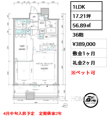 1LDK 56.89㎡  賃料¥389,000 敷金1ヶ月 礼金2ヶ月 4月中旬入居予定　定期借家2年