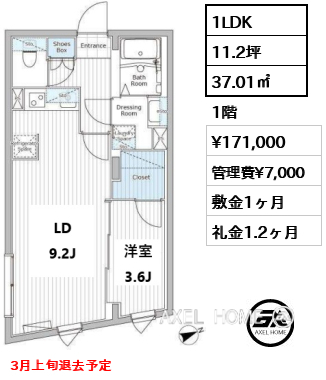 1LDK 37.01㎡  賃料¥171,000 管理費¥7,000 敷金1ヶ月 礼金1.2ヶ月 3月上旬退去予定