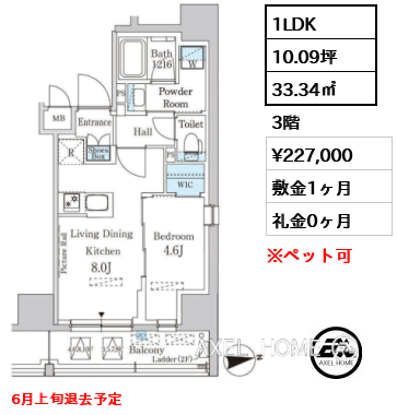 1LDK 33.34㎡  賃料¥227,000 敷金1ヶ月 礼金0ヶ月 6月上旬退去予定