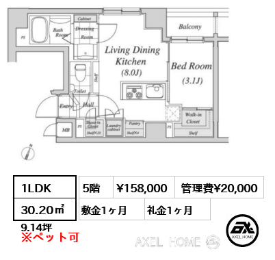 1LDK 30.20㎡  賃料¥172,000 管理費¥10,000 敷金1ヶ月 礼金1ヶ月