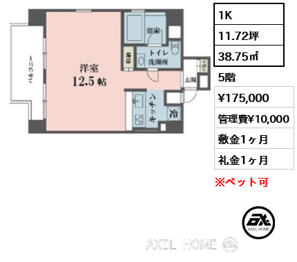 1K 38.75㎡  賃料¥175,000 管理費¥10,000 敷金1ヶ月 礼金1ヶ月