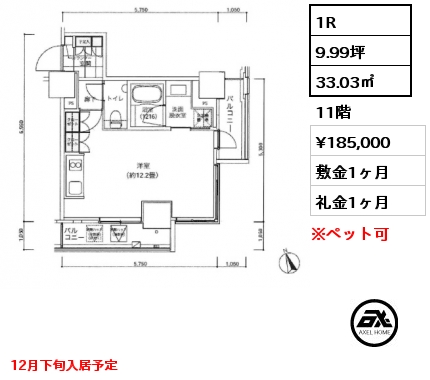 1R 33.03㎡ 11階 賃料¥185,000 敷金1ヶ月 礼金1ヶ月 12月下旬入居予定