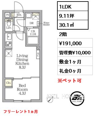 1LDK 30.1㎡  賃料¥191,000 管理費¥10,000 敷金1ヶ月 礼金0ヶ月 フリーレント1ヵ月