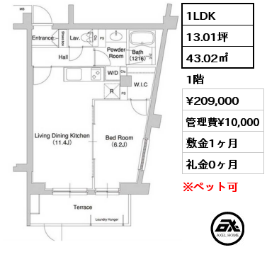 1LDK 43.02㎡ 1階 賃料¥209,000 管理費¥10,000 敷金1ヶ月 礼金0ヶ月