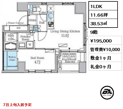 1LDK 38.53㎡ 9階 賃料¥195,000 管理費¥10,000 敷金1ヶ月 礼金0ヶ月 7月上旬入居予定