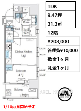 1DK 31.3㎡  賃料¥203,000 管理費¥10,000 敷金1ヶ月 礼金1ヶ月 1/10内見開始予定