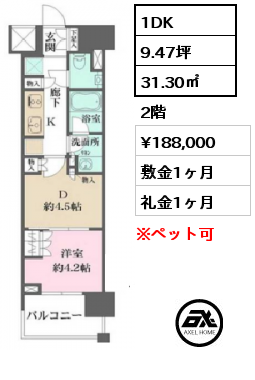 1DK 31.30㎡ 2階 賃料¥196,000 敷金1ヶ月 礼金1ヶ月