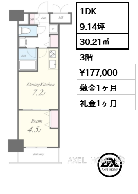 1DK 30.21㎡  賃料¥177,000 敷金1ヶ月 礼金1ヶ月