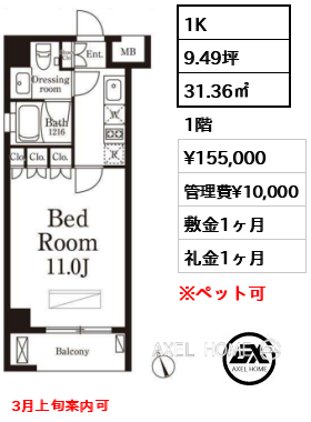 1K 31.36㎡  賃料¥155,000 管理費¥10,000 敷金1ヶ月 礼金1ヶ月 3月上旬案内可