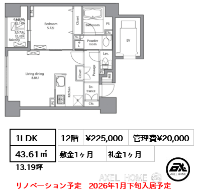 1LDK 43.61㎡  賃料¥225,000 管理費¥20,000 敷金1ヶ月 礼金1ヶ月 リノベーション予定　2026年1月下旬入居予定