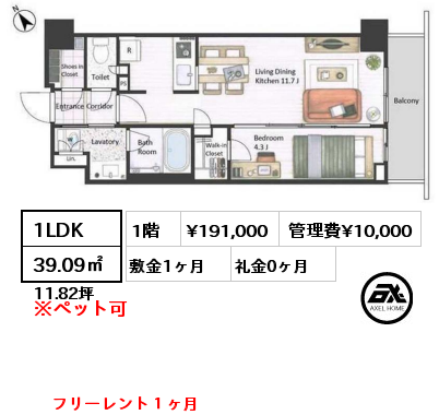 1LDK 39.09㎡ 1階 賃料¥191,000 管理費¥10,000 敷金1ヶ月 礼金0ヶ月 フリーレント１ヶ月　 　