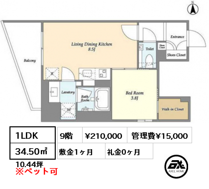 1LDK 34.50㎡ 9階 賃料¥210,000 管理費¥15,000 敷金1ヶ月 礼金0ヶ月