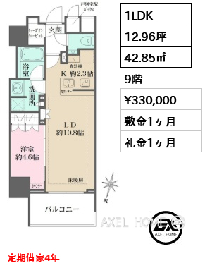 1LDK 42.85㎡  賃料¥330,000 敷金1ヶ月 礼金1ヶ月 定期借家4年