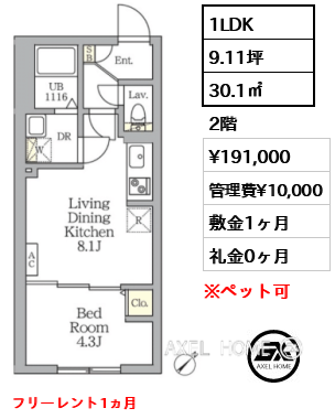 1LDK 30.1㎡  賃料¥191,000 管理費¥10,000 敷金1ヶ月 礼金0ヶ月 フリーレント1ヵ月