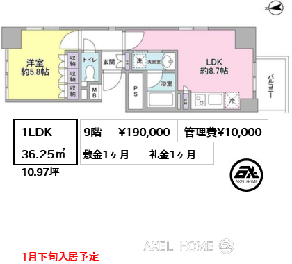 1LDK 36.25㎡  賃料¥190,000 管理費¥10,000 敷金1ヶ月 礼金1ヶ月 1月下旬入居予定