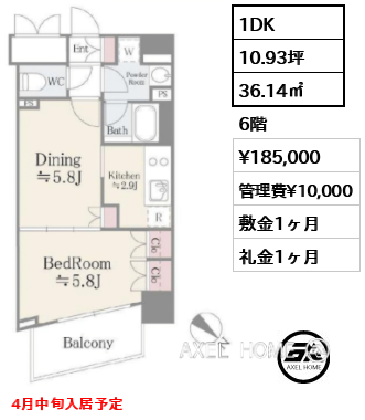 1DK 36.14㎡  賃料¥185,000 管理費¥10,000 敷金1ヶ月 礼金1ヶ月 4月中旬入居予定