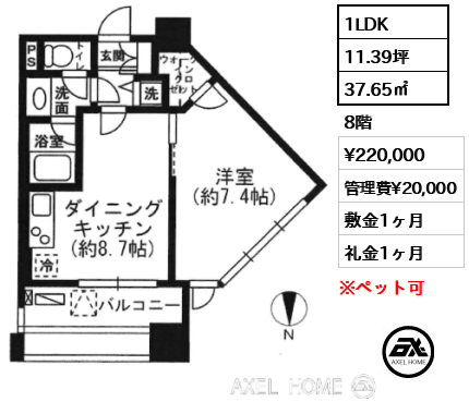 1LDK 37.65㎡  賃料¥220,000 管理費¥20,000 敷金1ヶ月 礼金1ヶ月