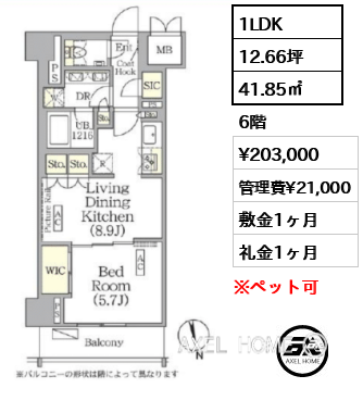 1LDK 41.85㎡  賃料¥203,000 管理費¥21,000 敷金1ヶ月 礼金1ヶ月 　