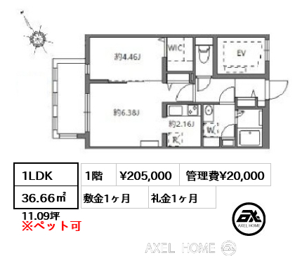 1LDK 36.66㎡  賃料¥205,000 管理費¥20,000 敷金1ヶ月 礼金1ヶ月
