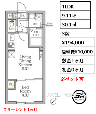 1LDK 30.1㎡  賃料¥194,000 管理費¥10,000 敷金1ヶ月 礼金0ヶ月 フリーレント1ヵ月