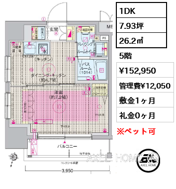 1DK 26.2㎡  賃料¥152,950 管理費¥12,050 敷金1ヶ月 礼金0ヶ月