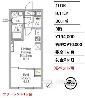 1LDK 30.1㎡  賃料¥194,000 管理費¥10,000 敷金1ヶ月 礼金0ヶ月 フリーレント1ヵ月
